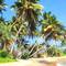 Отель Wimal Wood Stock Surf House