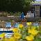 Отель Rivoli Suites