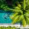 Отель Ahoy Hoi An Boutique Resort & Spa