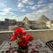 Отель Middle East Pyramids View