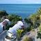 Отель Zanziblue Waves Resort