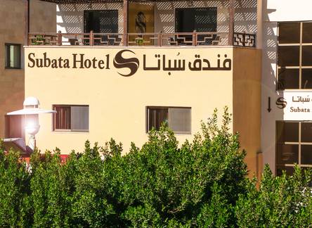 Отель Subata Hotel