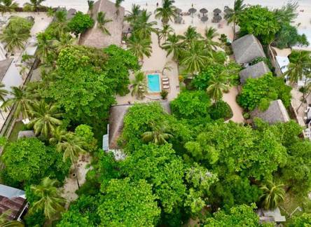 Отель Mambo Ocean Resort 