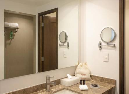 Отель Fiesta Inn Insurgentes