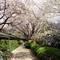 Отель Grand Prince Hotel Shin Takanawa