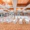 Отель Holiday Inn Silom